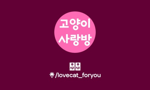 카페포유 이미지