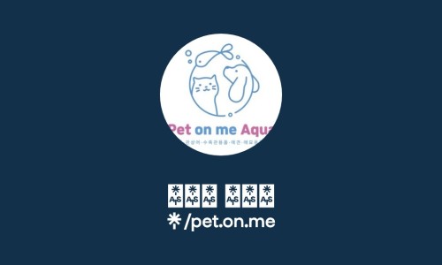 플래티넘피시 이미지