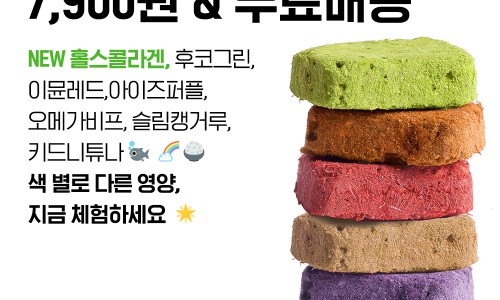 일상화식 이미지