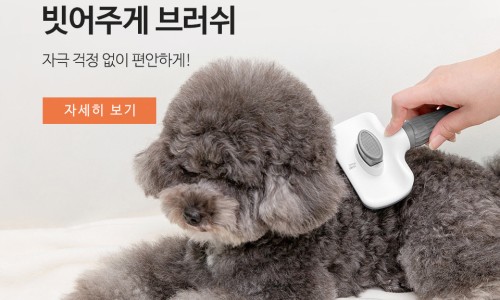 일상공감 이미지