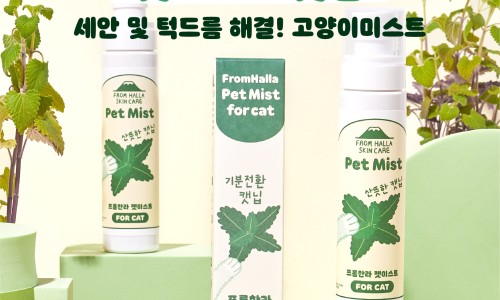 담은제주농업회사법인주식회사 이미지