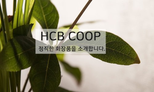 아라사회적협동조합 이미지