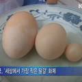 동부산농협주유소 이미지