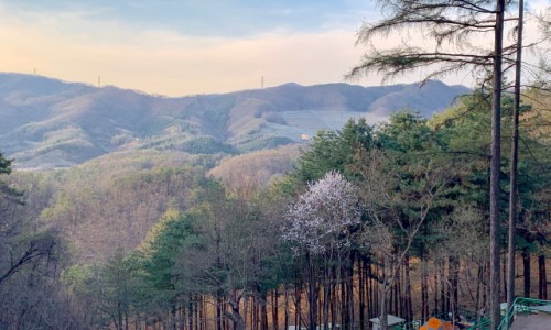춘천숲자연휴양림 이미지