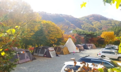 브라보캠핑장 이미지