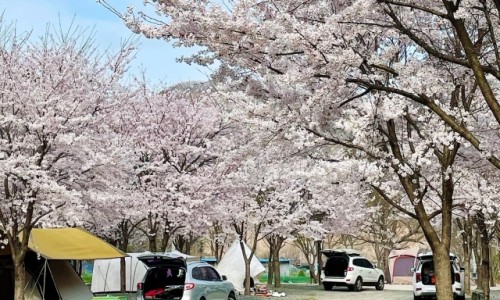 곤달비캠프 이미지