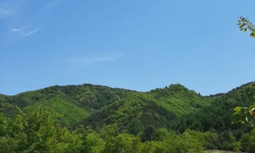 보랏빛오토캠핑장 이미지