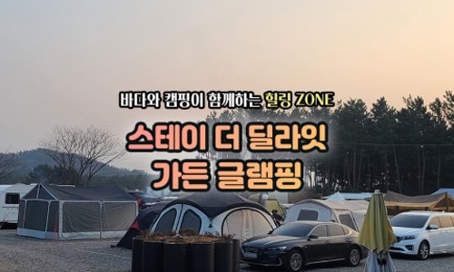 스테이더딜라잇 이미지
