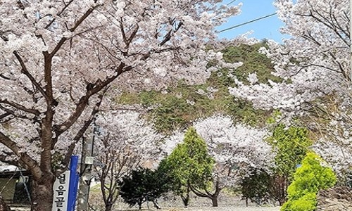 은하수캠핑관광농원 이미지