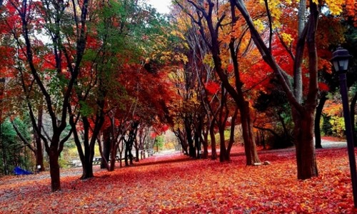 두레캠핑장 이미지