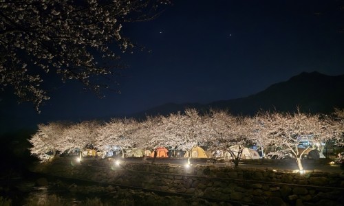 화왕산오토캠프장 이미지
