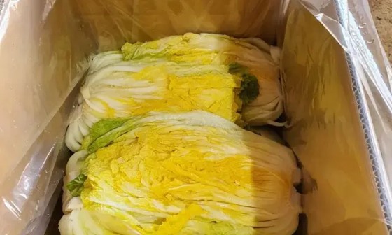 선영농장 이미지