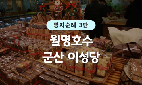 월명관광여행사 이미지