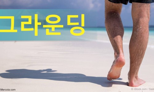 그라운딩 이미지