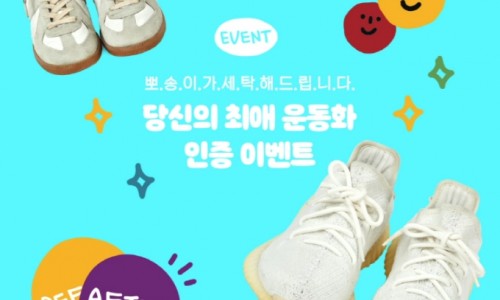 머니풀 이미지