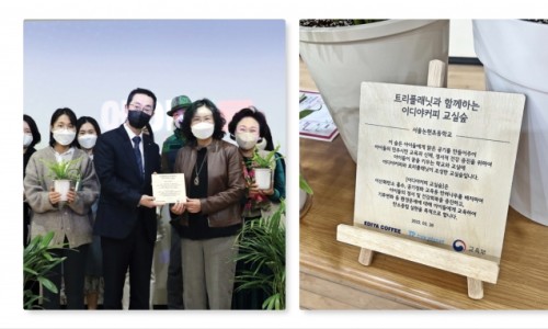 커피트리 이미지