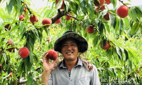 상록수농원 이미지