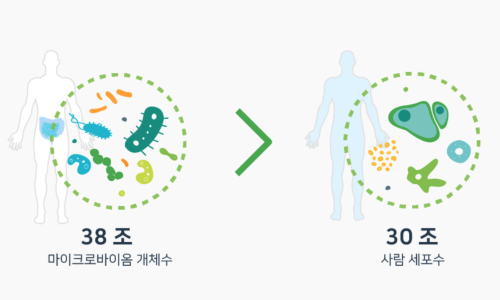 에이치엘산업 이미지