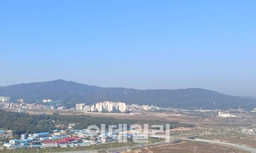 단비입찰 이미지