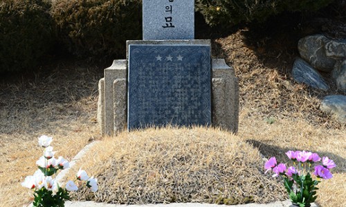 안장의사 이미지