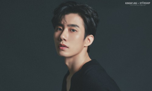 킹콩네트웍스 이미지