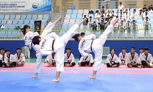 한국체육교육개발원 이미지