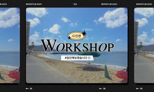 두리수선 이미지