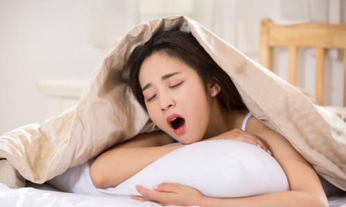 가위숲 이미지