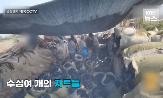 절임식품 이미지