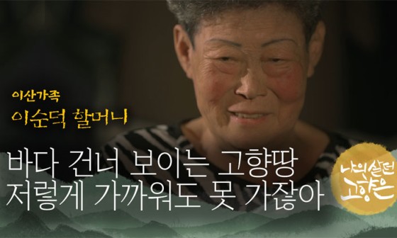 바다기획 이미지