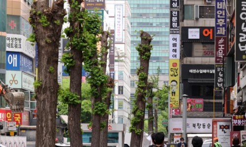 닭발이야기 이미지