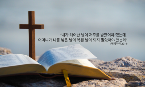 평안여행사 이미지