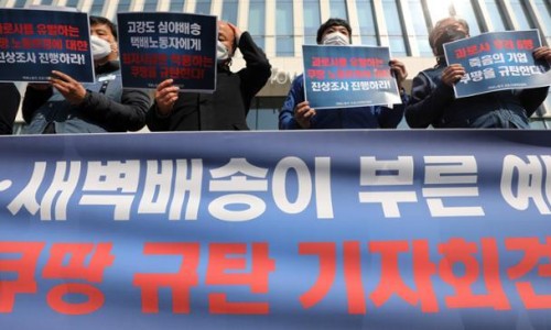 고양이투어 이미지
