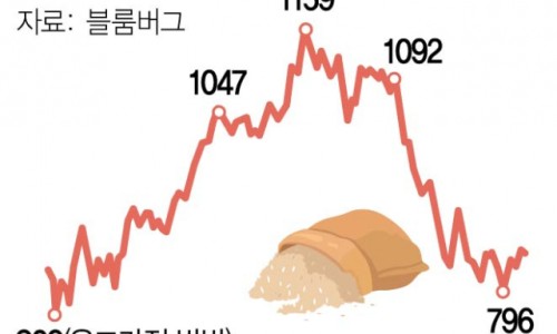 화엔터테인먼트(주) 이미지