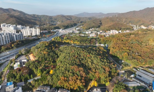 뉴신호가구 이미지