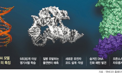 대한글로벌개발(주) 이미지