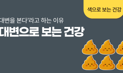 돼지나라갈매기꿈 이미지