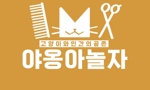 야옹아놀자 이미지