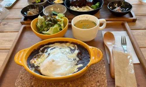 보누르 이미지