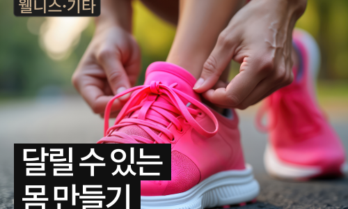 델피하우스 이미지