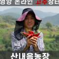 영양군온심마켓 이미지