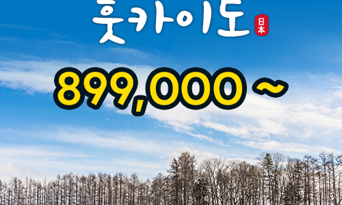 오렌지투어여행사 이미지