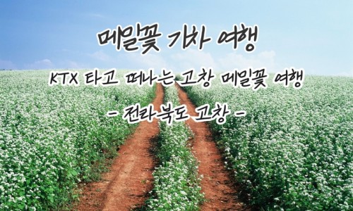 대한중소여행사협동조합 이미지