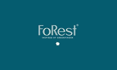 포레스트(forest) 이미지