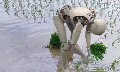이런세상 이미지