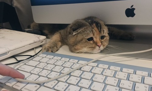선향코스메틱 이미지