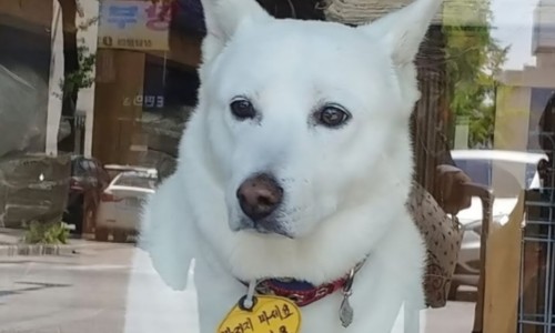 문구.COM 이미지
