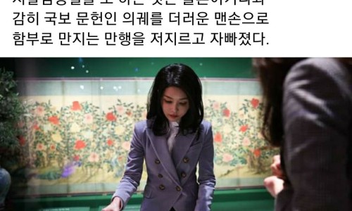 시스템나르샤 이미지