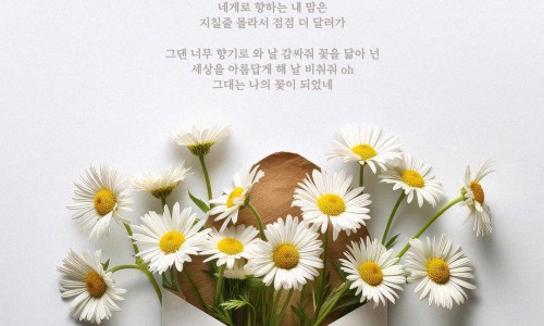 님flower 이미지
