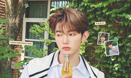 카페하오 이미지